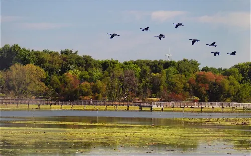 John Heinz National Wildlife Refuge at Tinicum