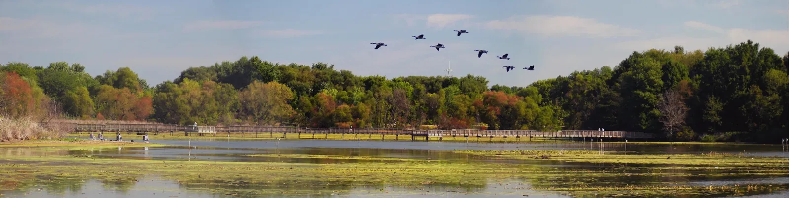 John Heinz National Wildlife Refuge At Tinicum (Philadelphia) - Visitor ...