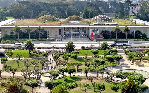 Academia de Ciencias de California