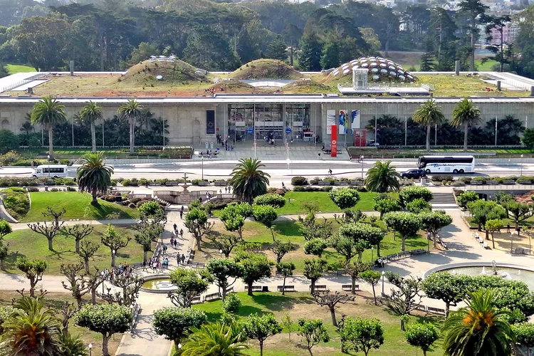 Academia de Ciencias de California