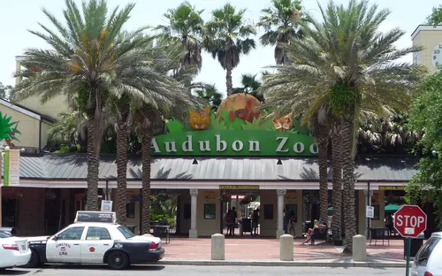 Audubon Zoo