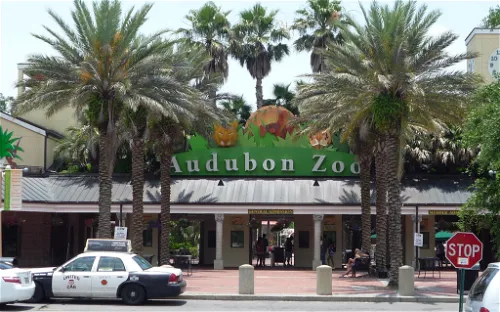 Audubon Zoo