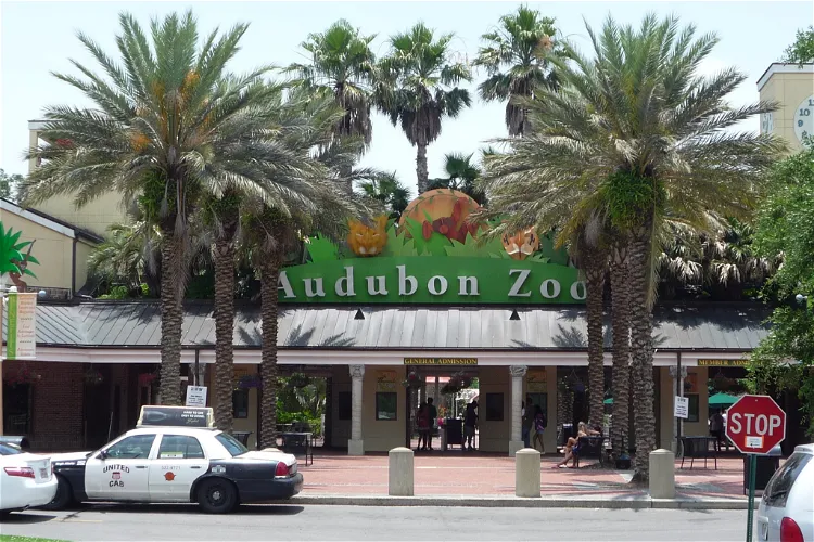 Audubon Zoo