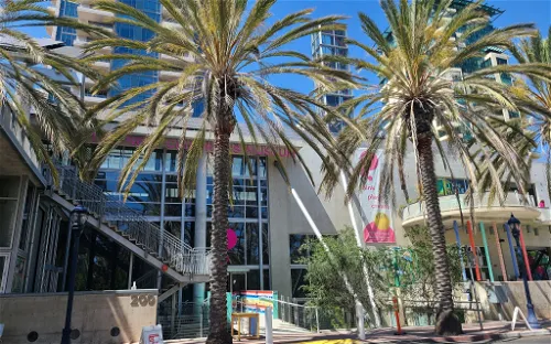 The New Children's Museum