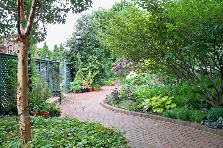 Mary Livingston Ripley Garden