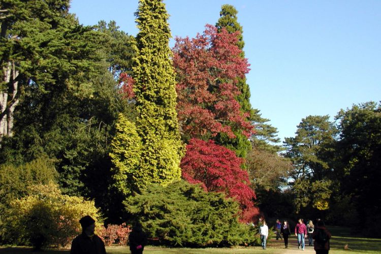 Westonbirt Arboretum