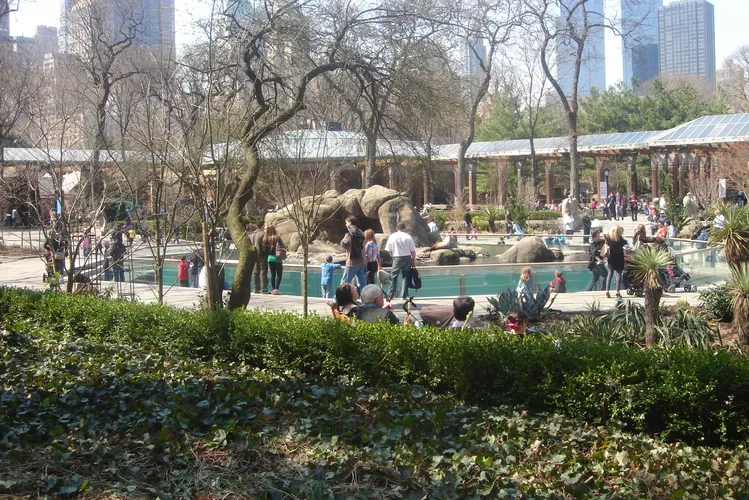 Zoo di Central Park