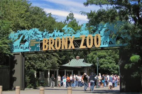 Bronx Zoo