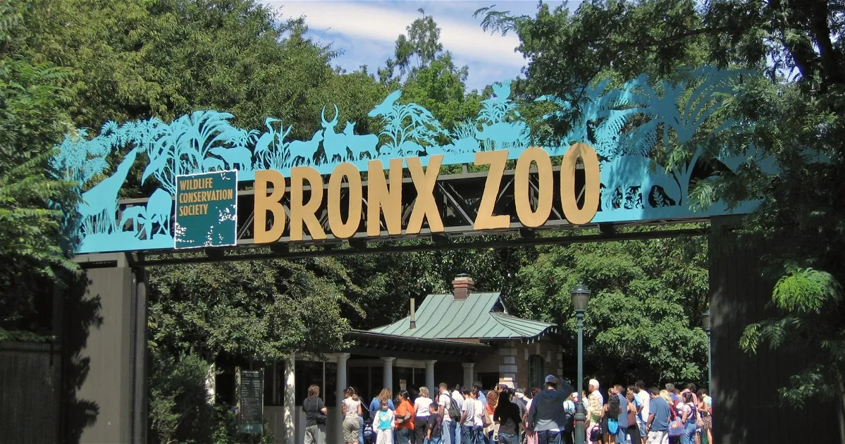 Tickets, Prices u0026 Discounts - Bronx Zoo (New York)