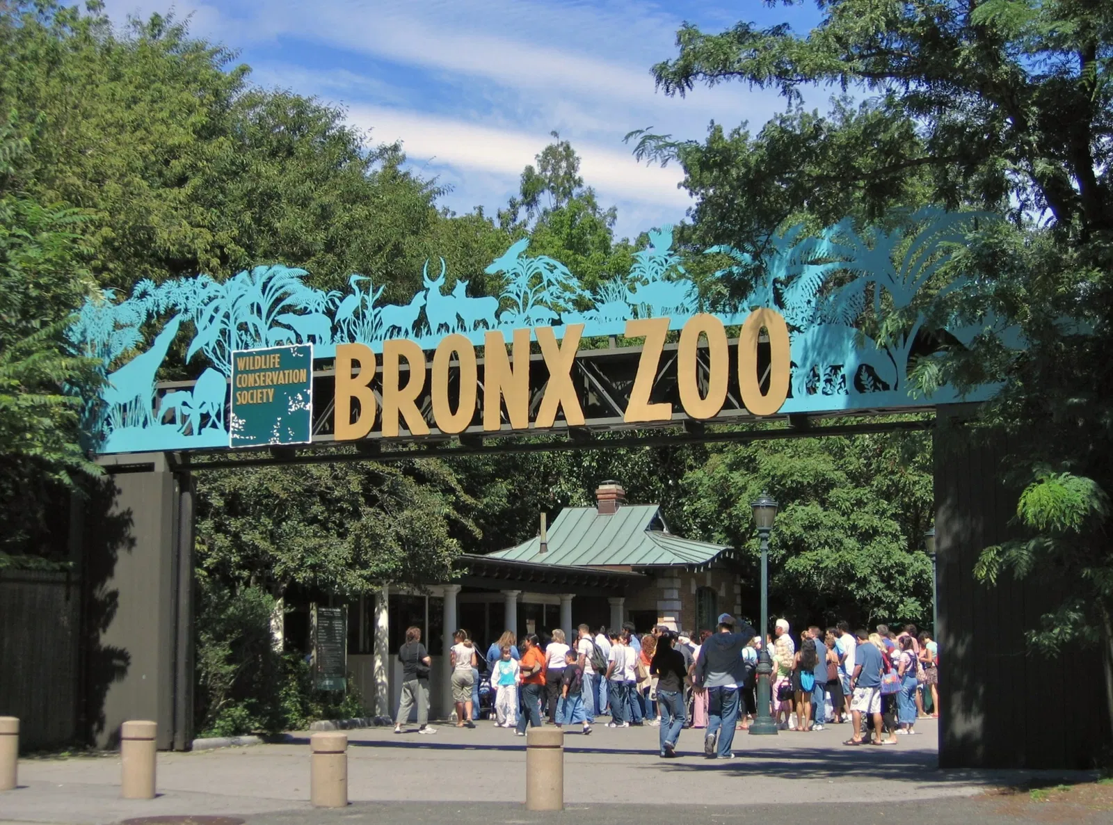 Zoo del Bronx