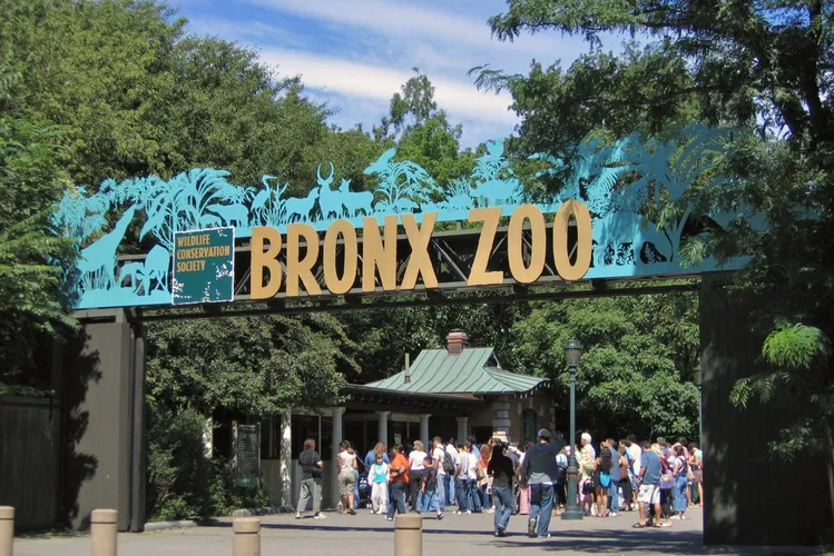 Zoológico del Bronx