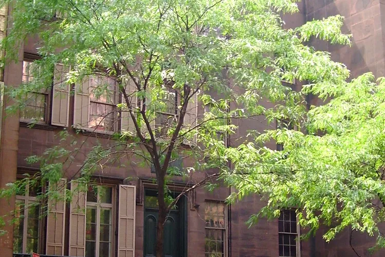 Lugar Histórico Nacional del Nacimiento de Theodore Roosevelt