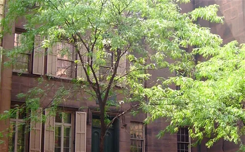 Theodore Roosevelt Birthplace National Historic Site