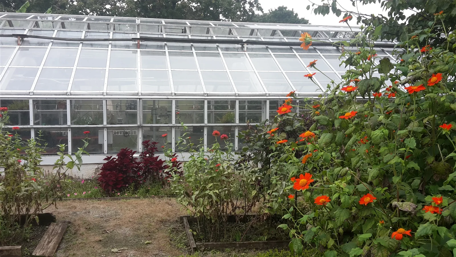 Snug Harbor Cultural Center and Botanical Garden