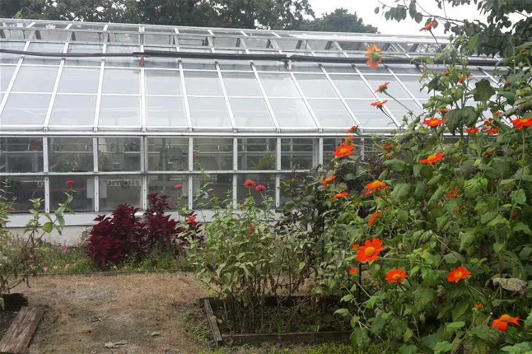 Snug Harbor Cultural Center and Botanical Garden