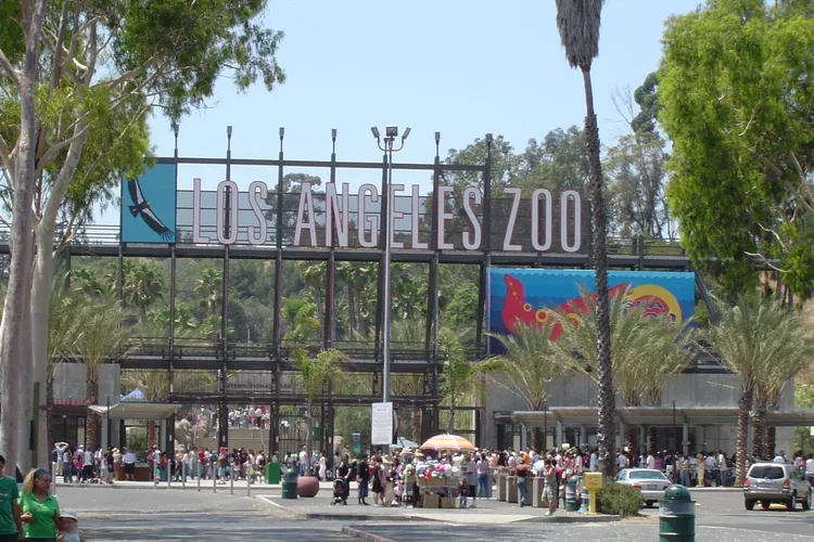 Zoológico de Los Ángeles