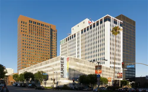 Hammer Museum