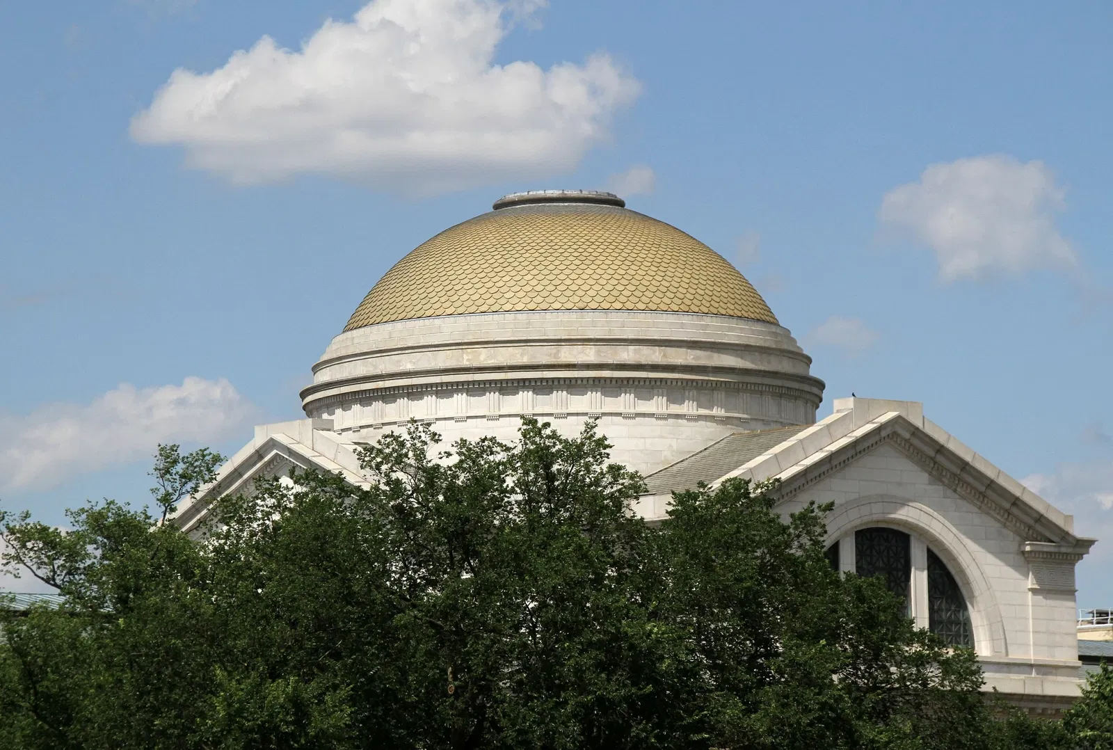 Musée national d'histoire naturelle des États-Unis