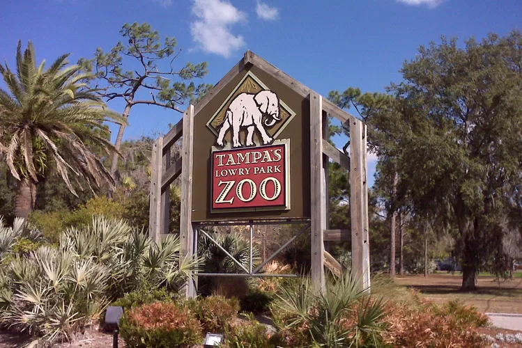 Zoo Tampa