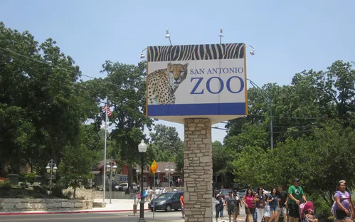 Zoo et Aquarium de San Antonio