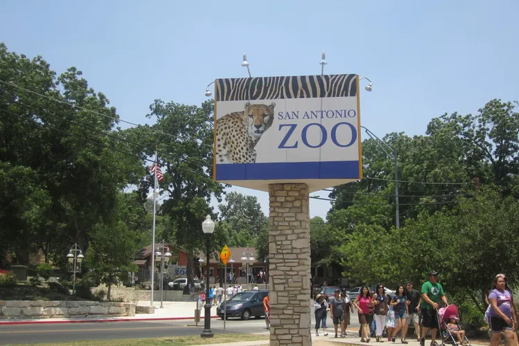 Zoo et Aquarium de San Antonio