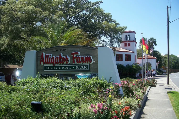 Alligator Farm di St. Augustine