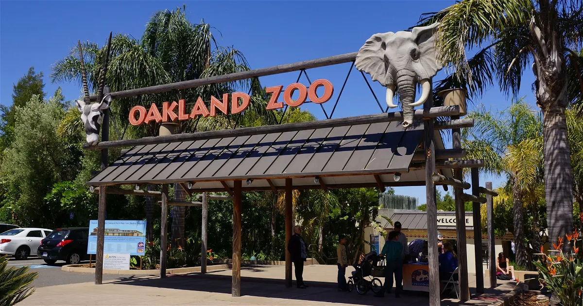 Oakland Zoo - The Oakland Athletics are here for their