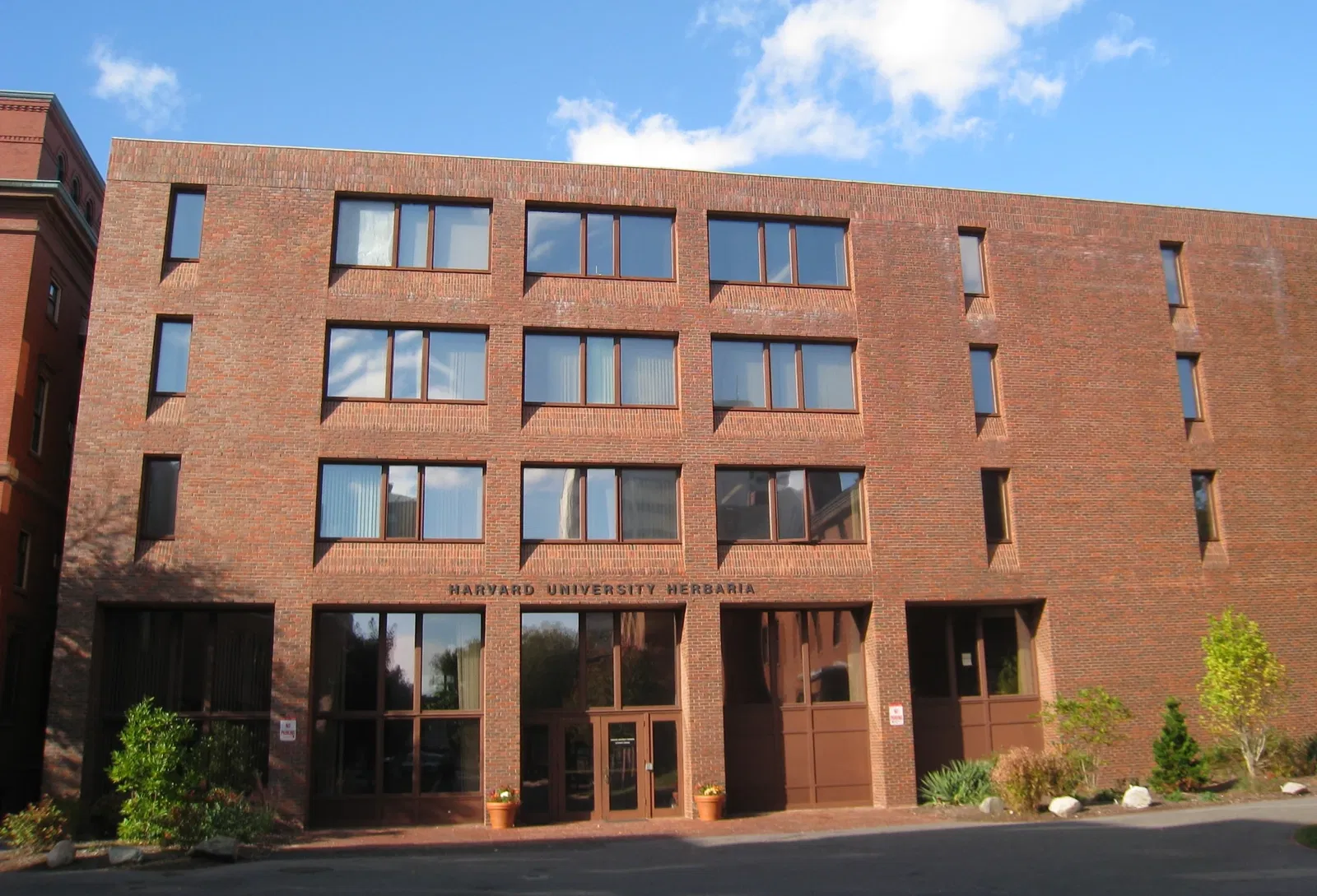 Erbari dell'Università di Harvard