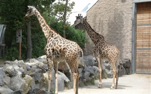 Roger Williams Park Zoo