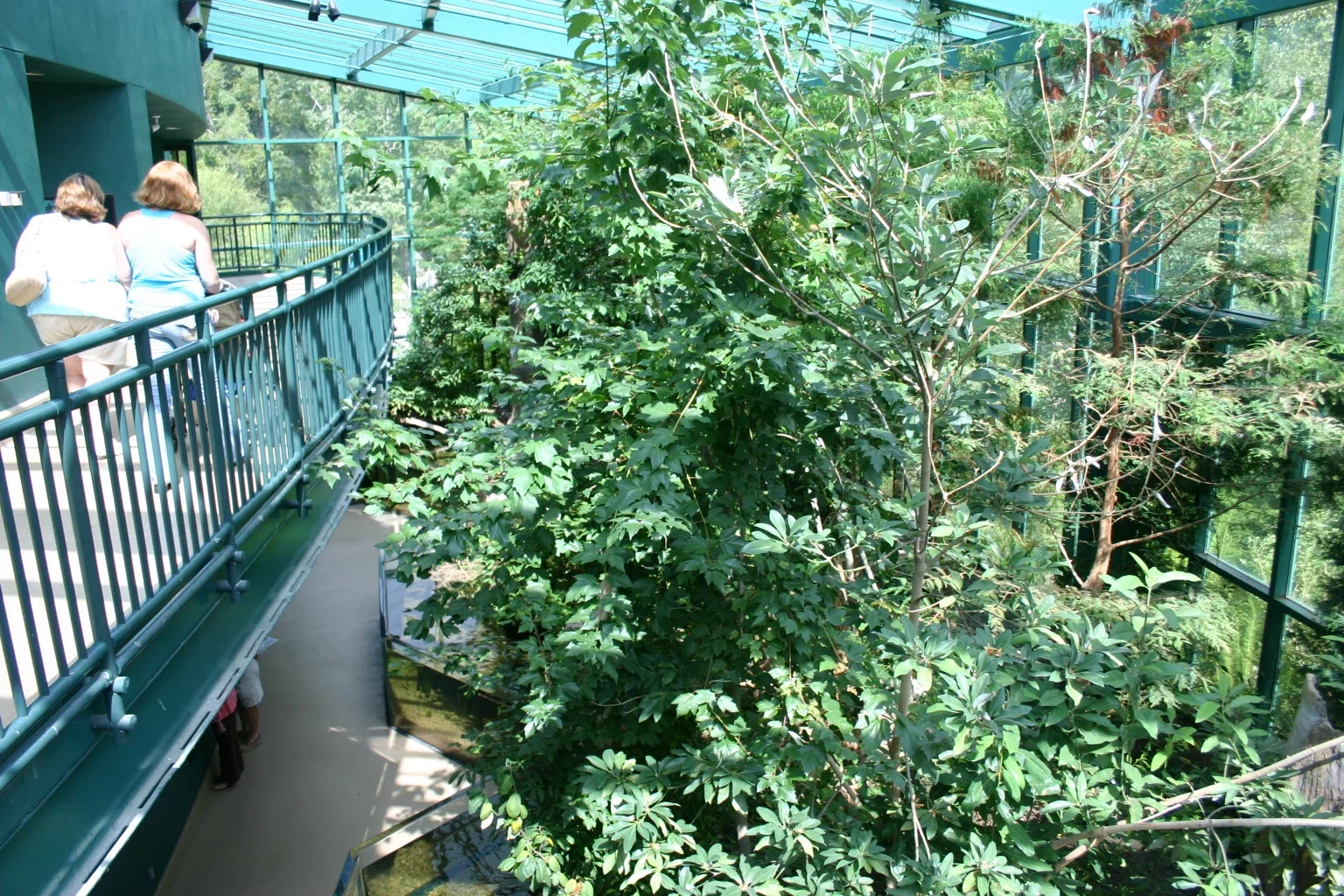 Virginia Living Museum