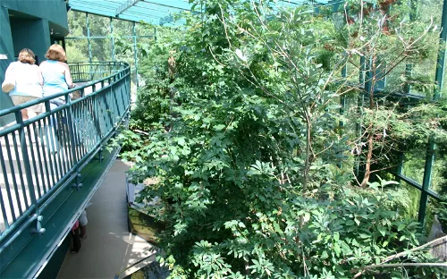 Virginia Living Museum