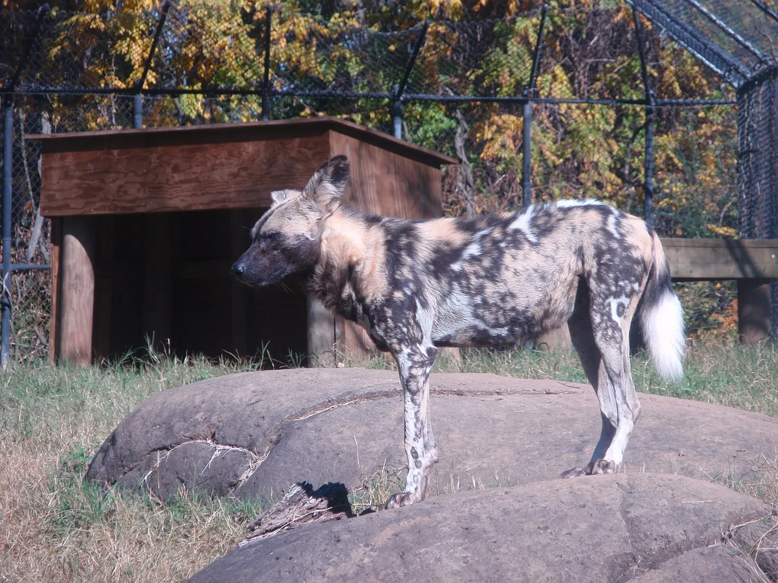 Tickets, Prices &amp; Discounts - Zoo Knoxville (Knoxville)