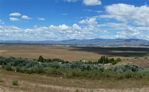 World Center For Birds of Prey