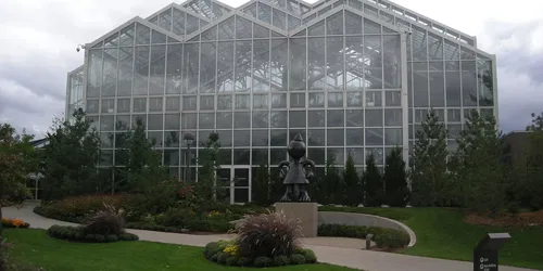 Mums at Meijer Gardens