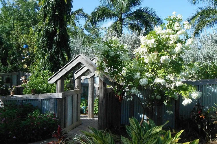 Jardín botánico de Naples