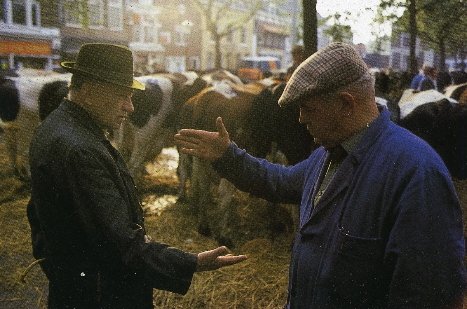 Gelok! Geschiedenis van de veehandel en veemarkten in Fryslân