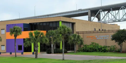 Traveling Exhibit: A Day with the Birds – EXTENDED