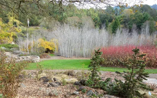 Regional Parks Botanic Garden
