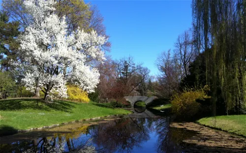 Dow Gardens