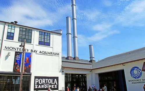 Aquarium de la baie de Monterey
