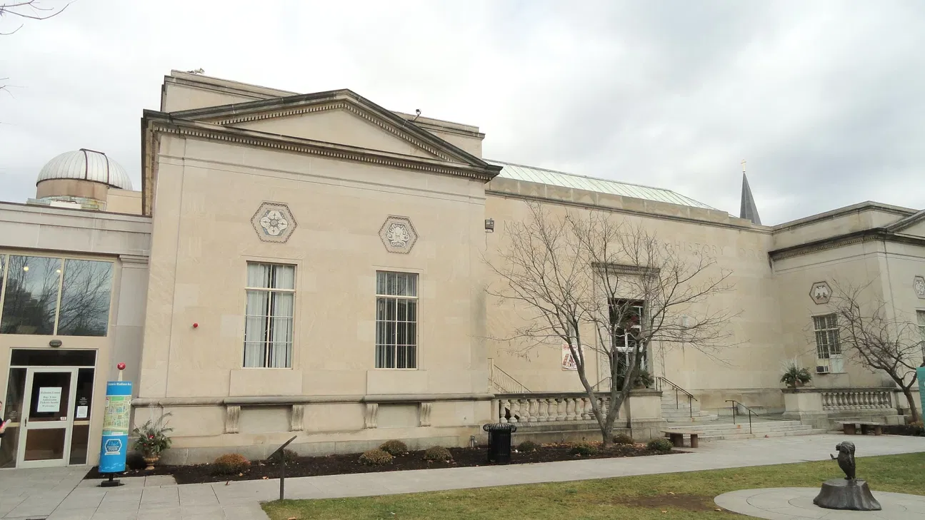 Science Springfrild Springfield Science Museum (Springfield) - Visitor Information & Reviews