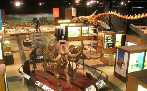 University of Michigan Museum of Natural History