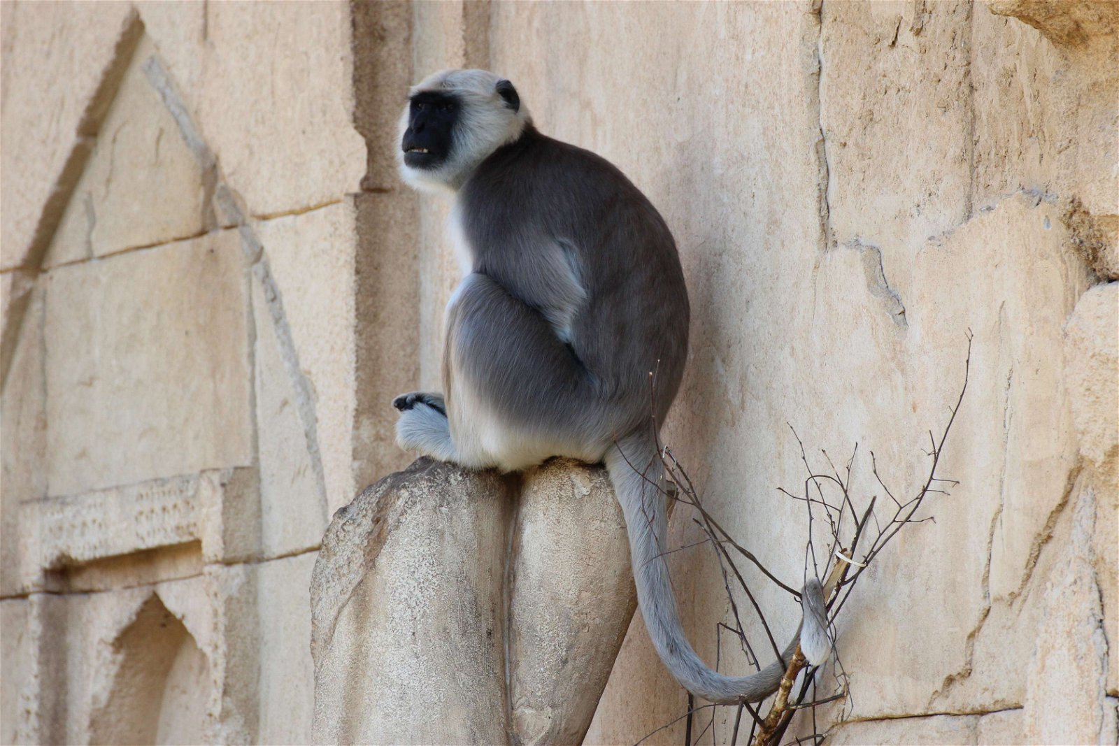 Erlebnis Zoo Hannover