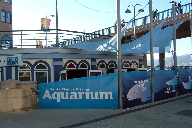Heal the Bay Aquarium