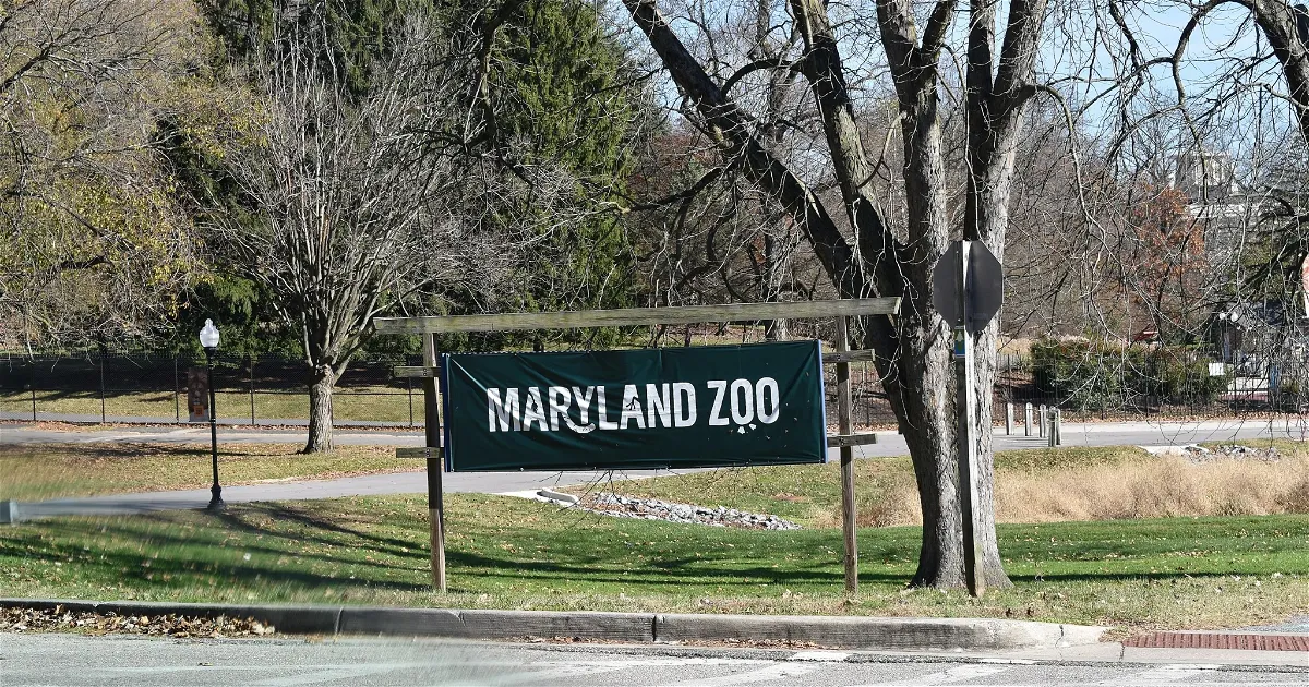 Tickets, Prices & Discounts - The Maryland Zoo In Baltimore (Baltimore) Tickets, Prices & Discounts - The Maryland Zoo In Baltimore (Baltimore)