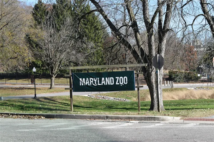 The Maryland Zoo In Baltimore