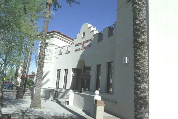 Museo de Historia Natural de Arizona