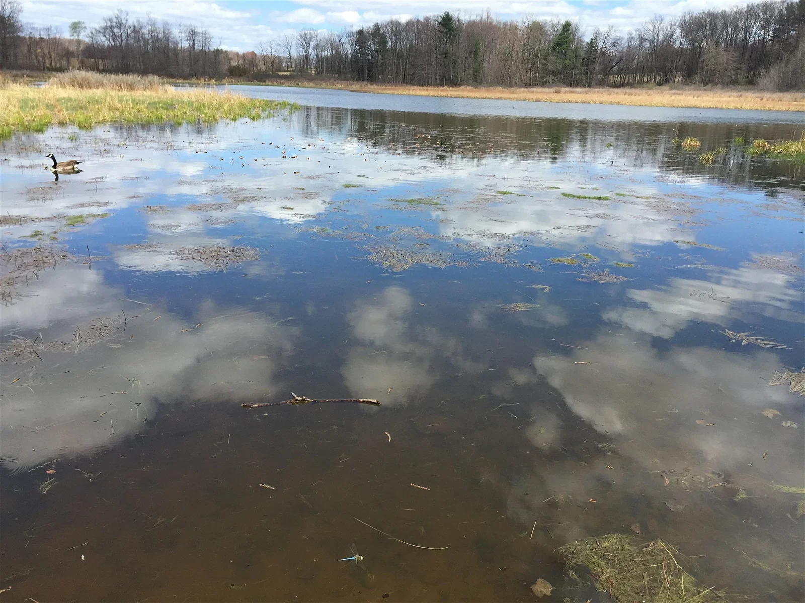 The Frost Entomological Museum
