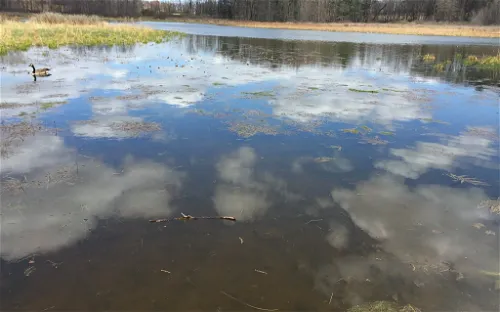 The Frost Entomological Museum