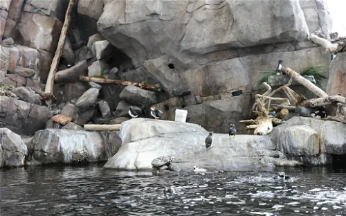 Alaska Sealife Center